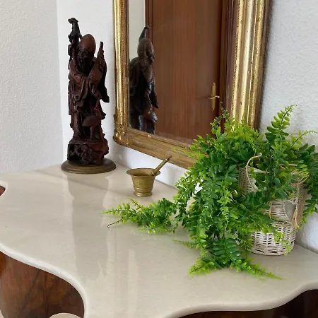 Apartment Homely Vistalegre *